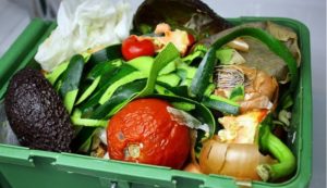 1,3 миллиарда тонн еды – в мусор